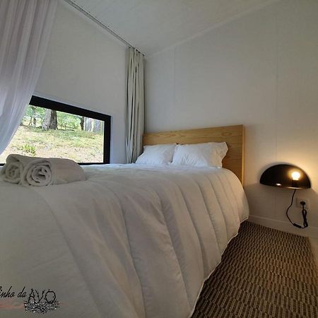 Ninho Da Avo Selvagem Villa มอนตาเลเกร ภายนอก รูปภาพ
